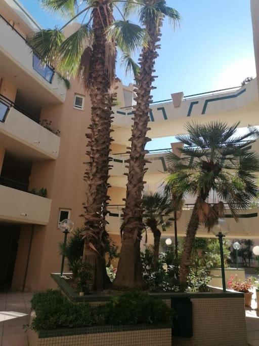 Appartement Vue Mer Sete Ngoại thất bức ảnh